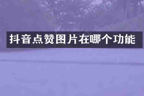 抖音点赞图片在哪个功能