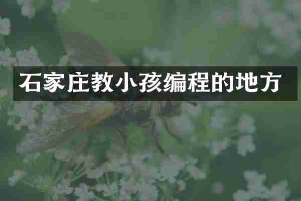 石家庄教小孩编程的地方
