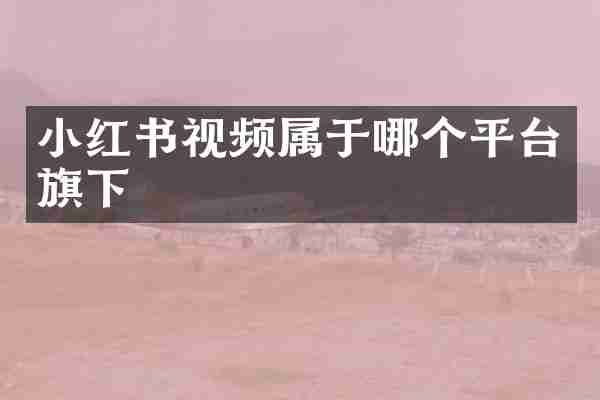 小红书视频属于哪个平台旗下