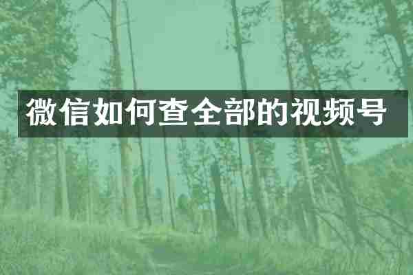 微信如何查全部的视频号