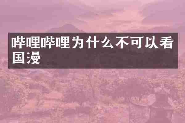 哔哩哔哩为什么不可以看国漫