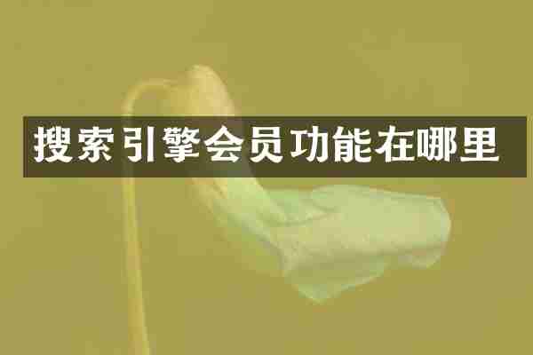 搜索引擎会员功能在哪里