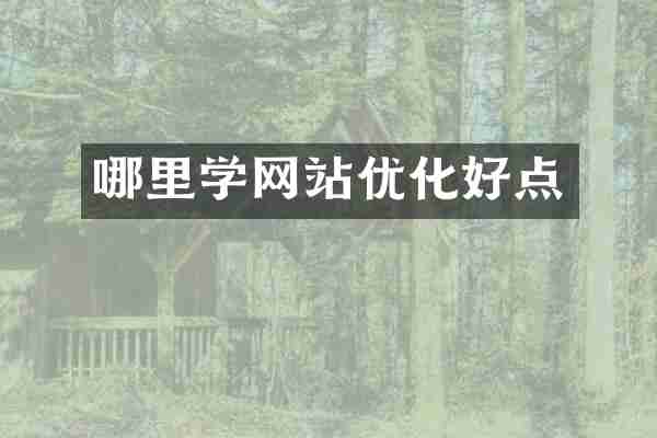 哪里学网站优化好点