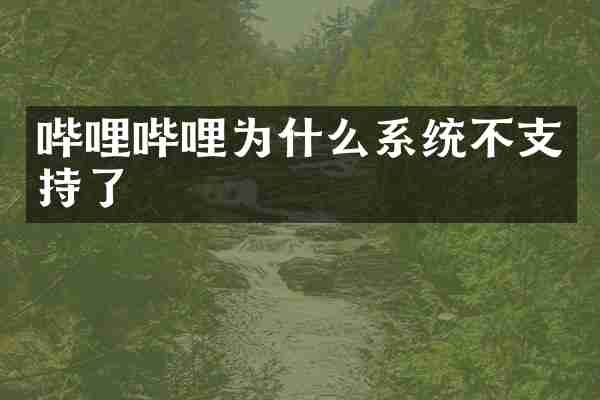 哔哩哔哩为什么系统不支持了