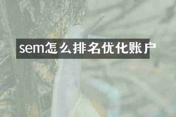 sem怎么排名优化账户