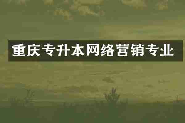 重庆专升本网络营销专业