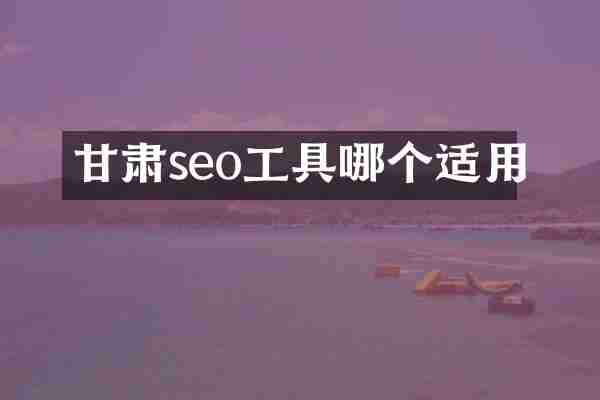 甘肃seo工具哪个适用