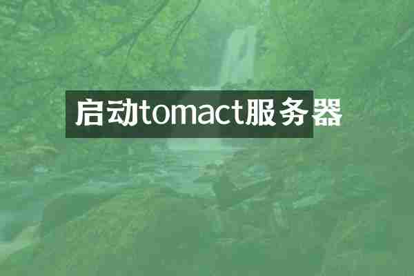 启动tomact服务器