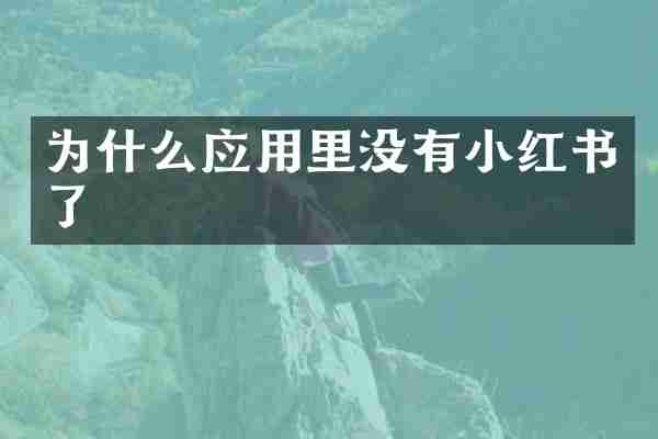 为什么应用里没有小红书了