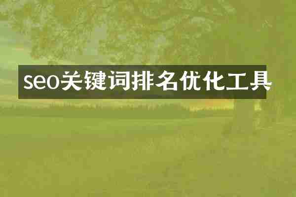 seo关键词排名优化工具