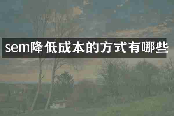 sem降低成本的方式有哪些