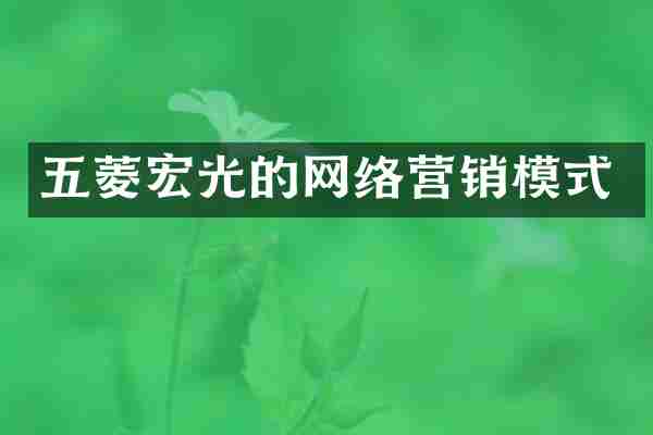 五菱宏光的网络营销模式