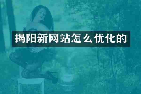 揭阳新网站怎么优化的