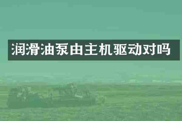 润滑油泵由主机驱动对吗