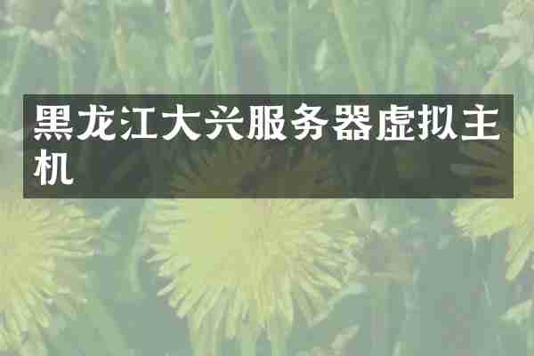 黑龙江大兴服务器虚拟主机