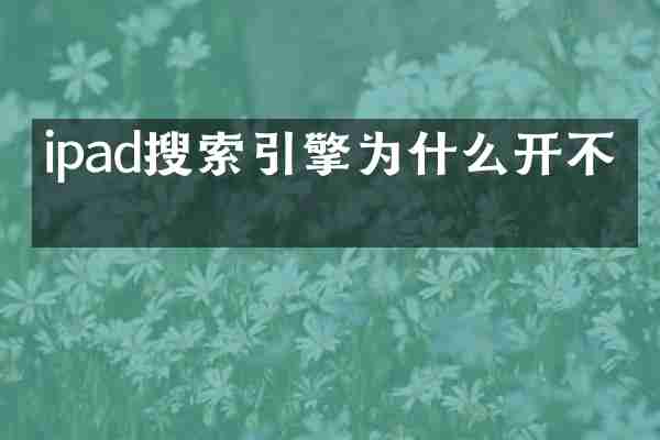ipad搜索引擎为什么开不了