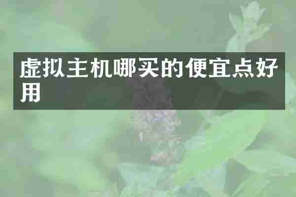 虚拟主机哪买的便宜点好用