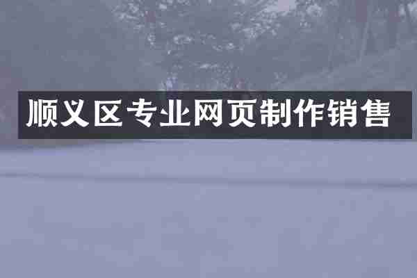 顺义区专业网页制作销售