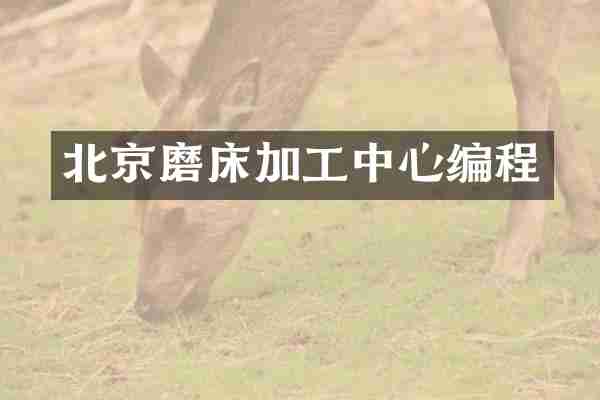 北京磨床加工中心编程