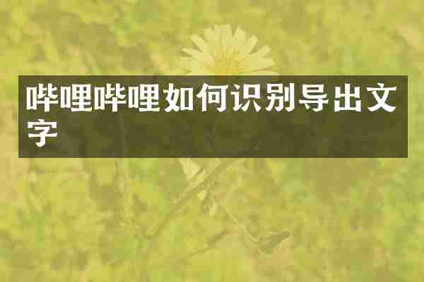 哔哩哔哩如何识别导出文字