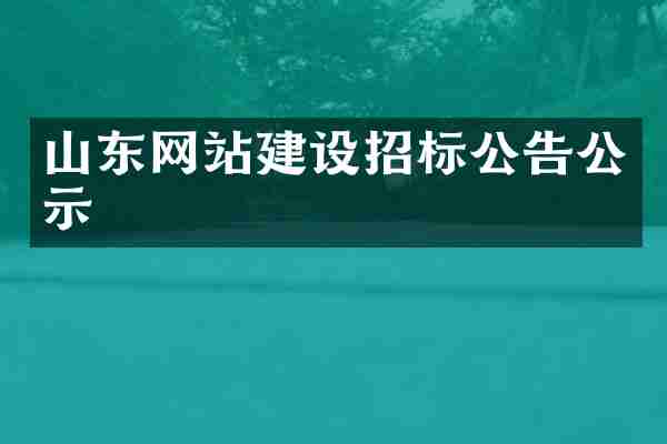 山东网站建设招标公告公示