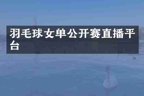 羽毛球女单公开赛直播平台