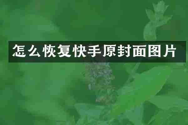 怎么恢复快手原封面图片