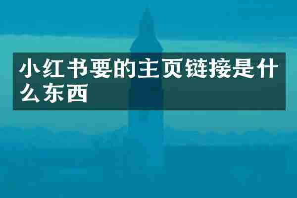 小红书要的主页链接是什么东西