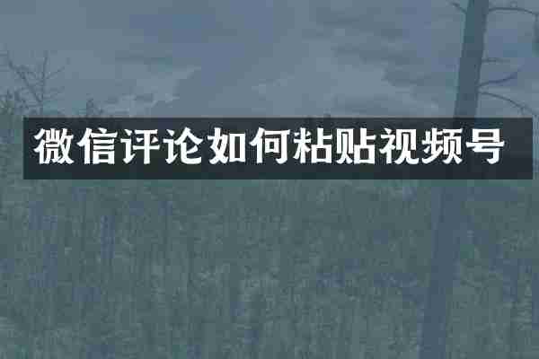 微信评论如何粘贴视频号