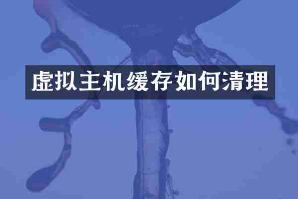 虚拟主机缓存如何清理