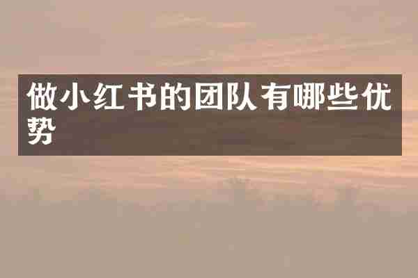 做小红书的团队有哪些优势