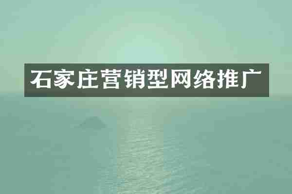 石家庄营销型网络推广