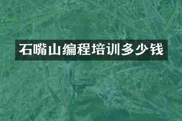 石嘴山编程培训多少钱