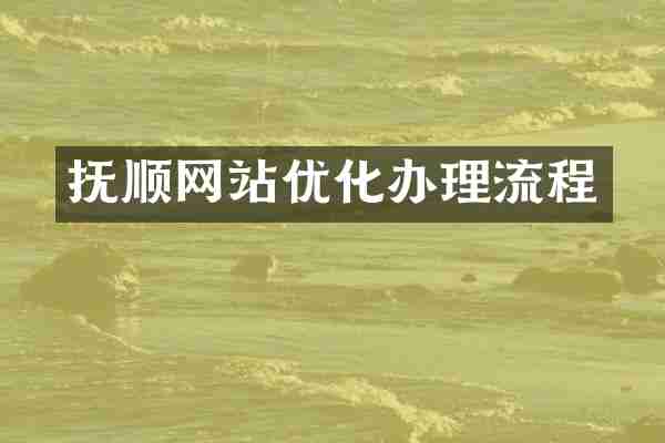 抚顺网站优化办理流程
