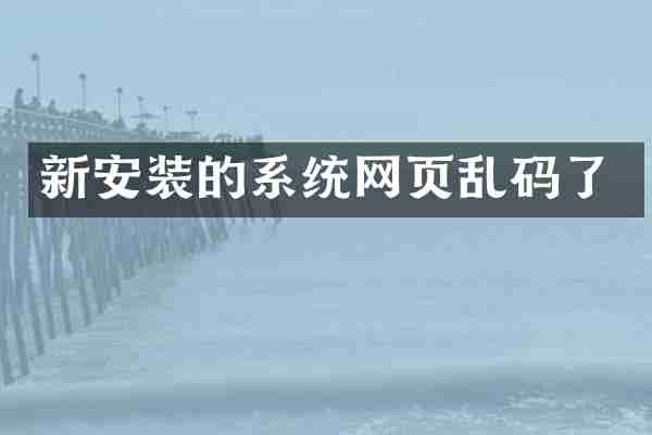 新安装的系统网页乱码了