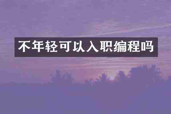 不年轻可以入职编程吗