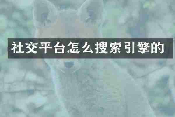 社交平台怎么搜索引擎的