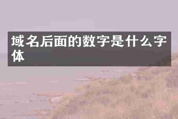 域名后面的数字是什么字体