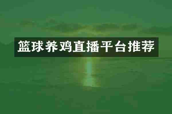篮球养鸡直播平台推荐