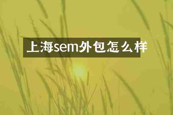 上海sem外包怎么样