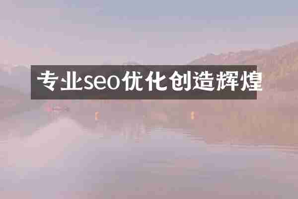 专业seo优化创造辉煌