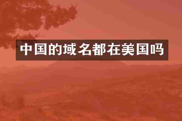 中国的域名都在美国吗