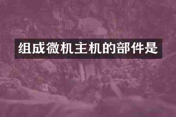 组成微机主机的部件是