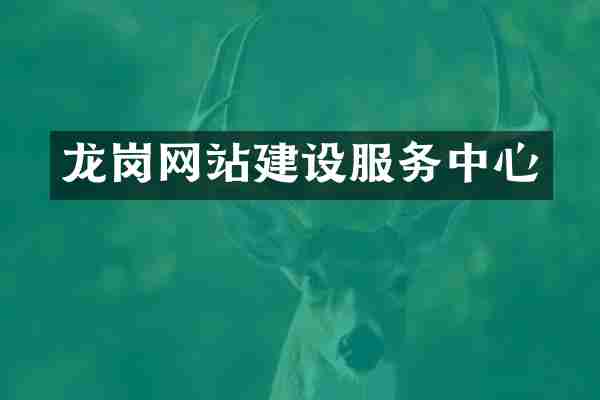 龙岗网站建设服务中心