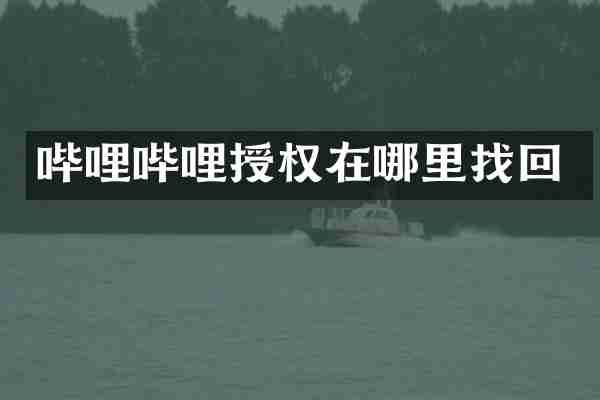 哔哩哔哩授权在哪里找回