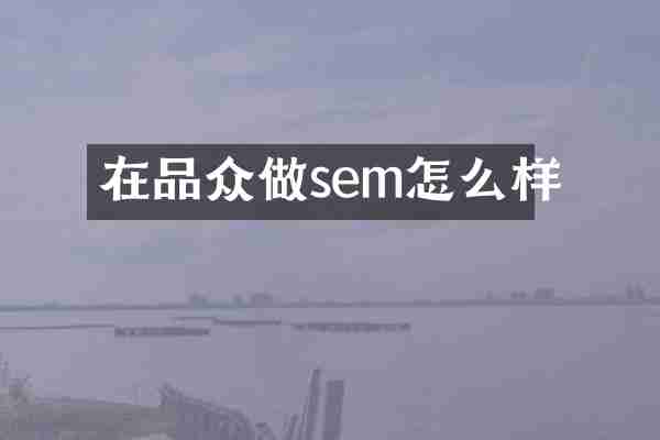 在品众做sem怎么样