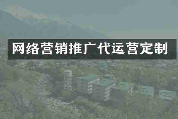 网络营销推广代运营定制