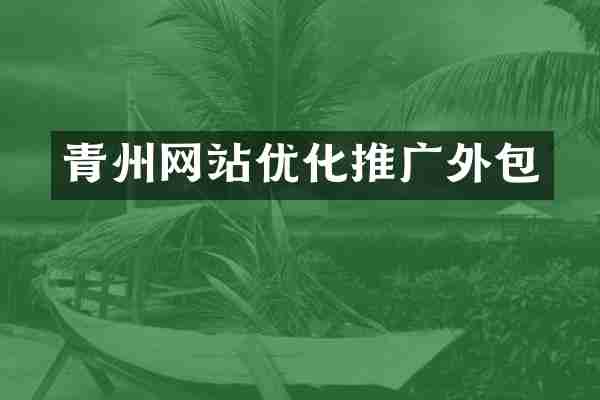 青州网站优化推广外包