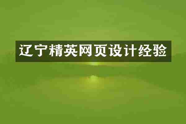 辽宁精英网页设计经验