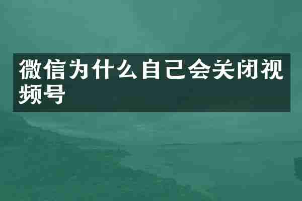 微信为什么自己会关闭视频号